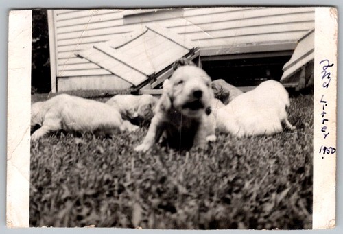 Vtg snapshot cute - vtg,